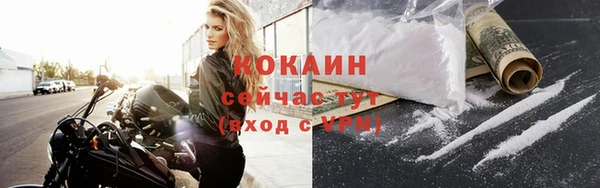 крисы Липки