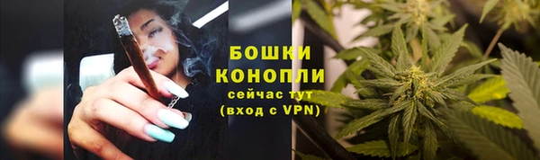 крисы Липки