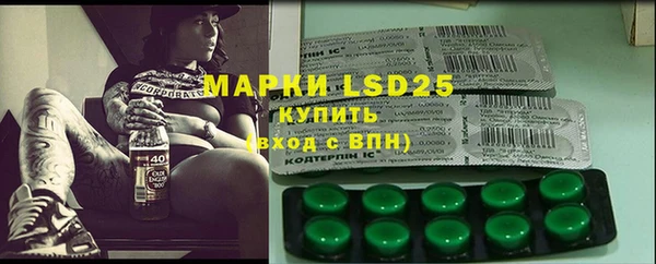 крисы Липки